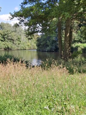 Wo 23 juli: Terug naar je natuur in de natuur, SchrijfWandeling landgoed Leeuwenhorst