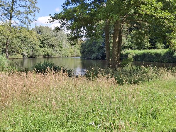 Wo 23 juli: Terug naar je natuur in de natuur, SchrijfWandeling landgoed Leeuwenhorst